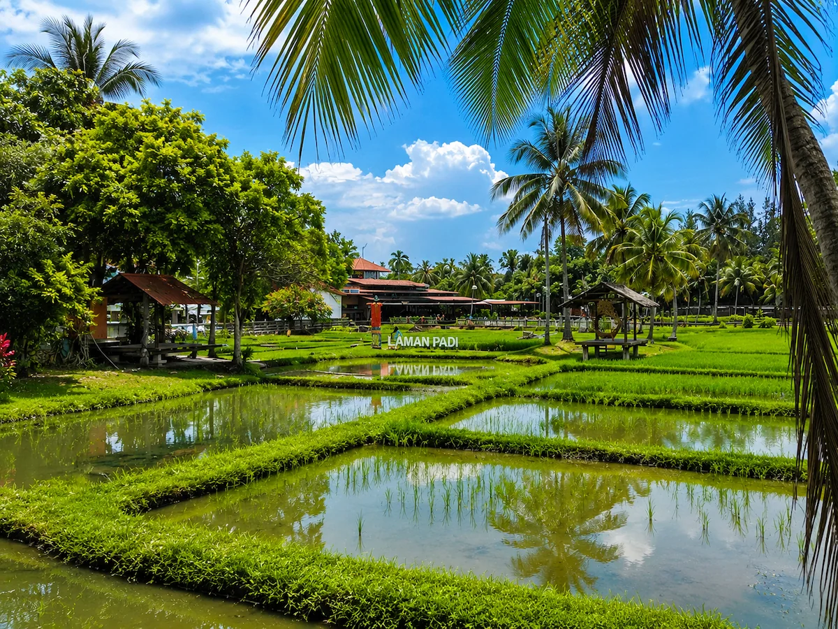 Laman Padi Langkawi